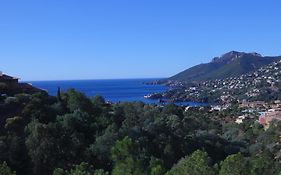 Cote d`Azur - Mandelieu