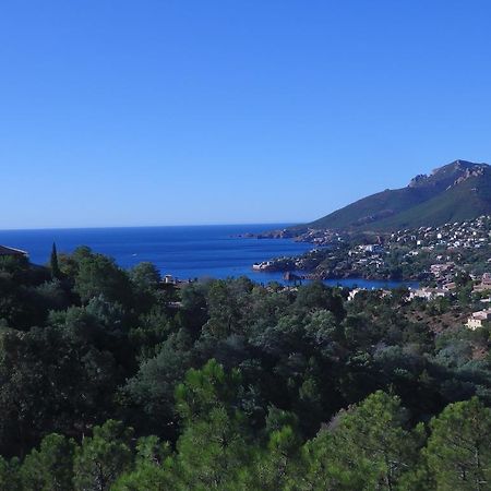 Appartement Cote d`Azur - Mandelieu à Théoule-sur-Mer Extérieur photo